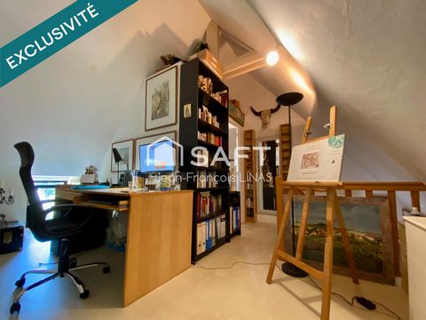 photo no. 12