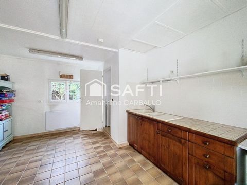 photo no. 9