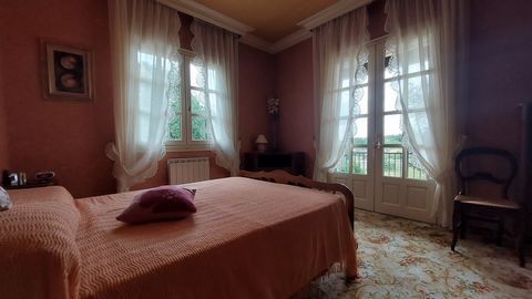 photo no. 3
