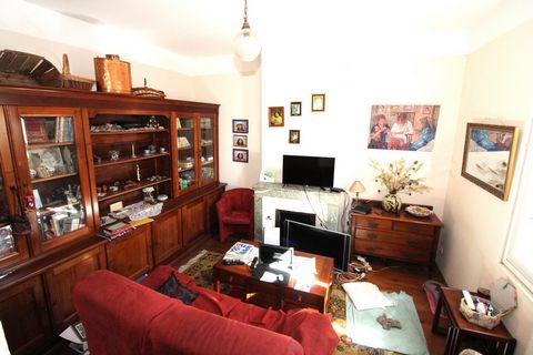 photo no. 5