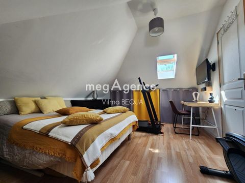 photo no. 8