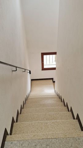 photo no. 18