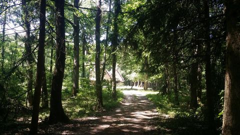photo no. 10