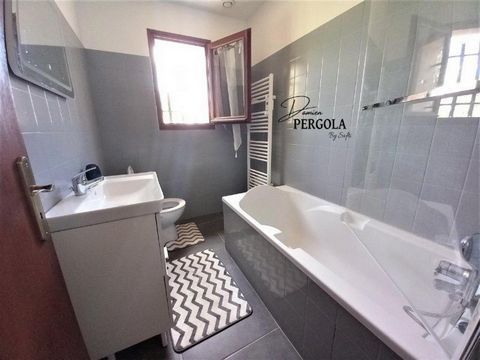 photo no. 11