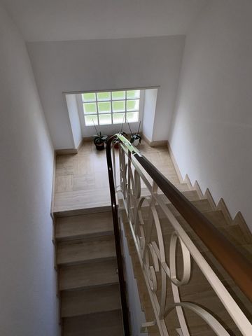 photo no. 7