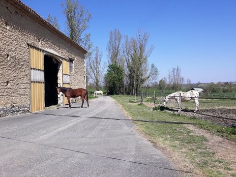 photo no. 4