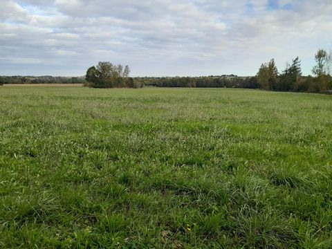 photo no. 14