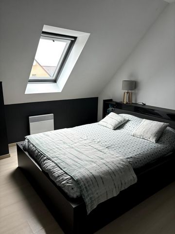 photo no. 11