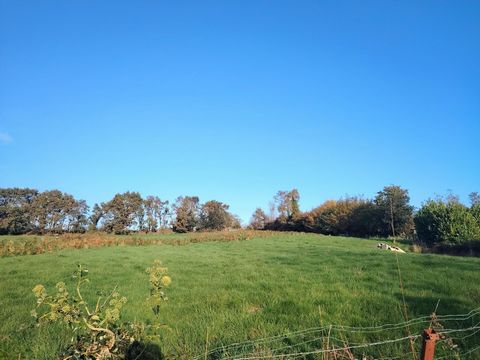 photo no. 16