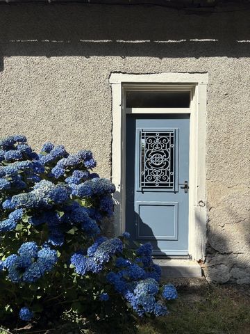photo no. 6