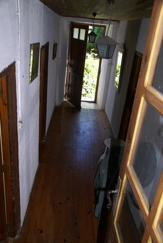 photo no. 11