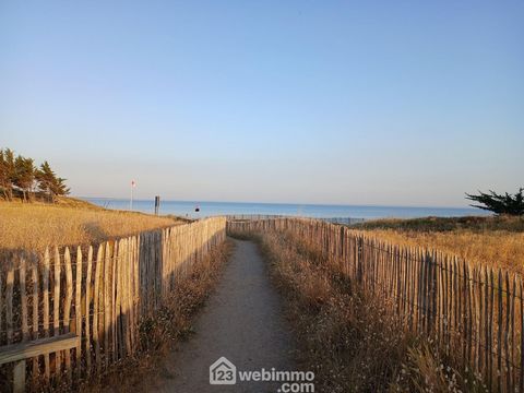 photo no. 17