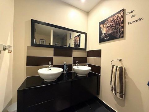 photo no. 8