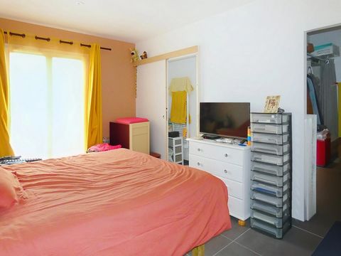 photo no. 8