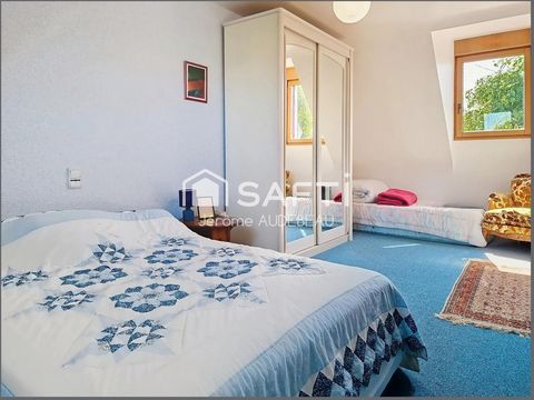 photo no. 11