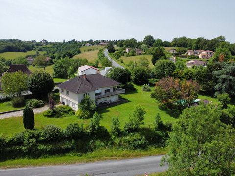 photo no. 6