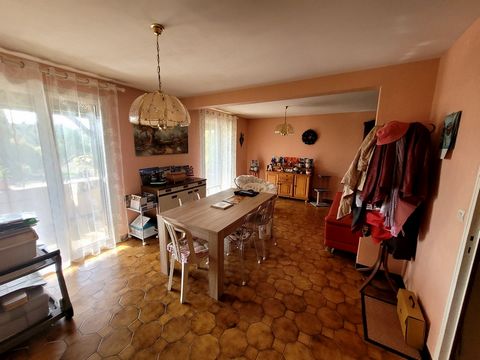 photo no. 11