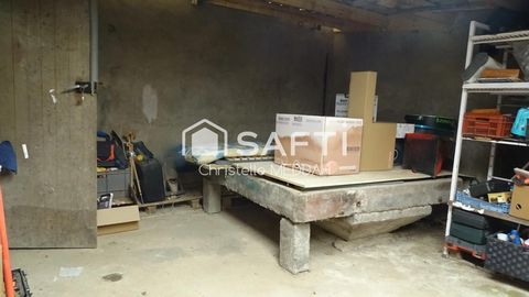 photo no. 12