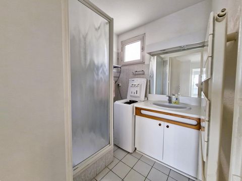 photo no. 6