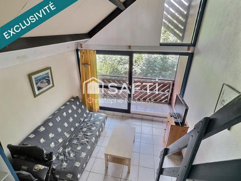 Studio au Cap Ferret / Claouey