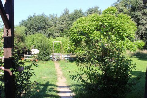 photo no. 9