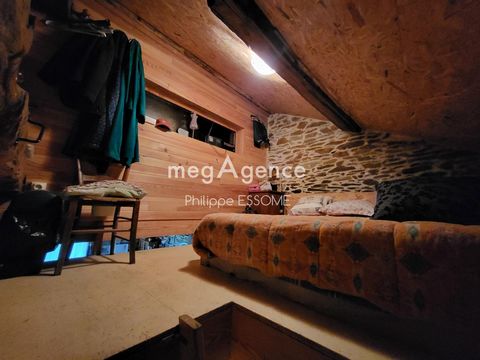 photo no. 5