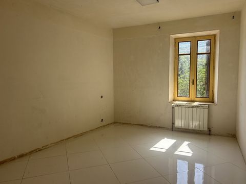 photo no. 12