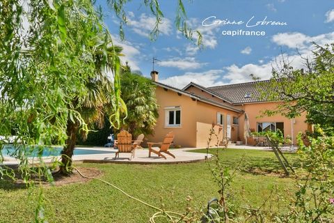 Maison à vendre 4 chambres à CRECHES SUR SAONE (71)
