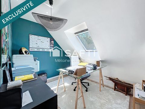 photo no. 13