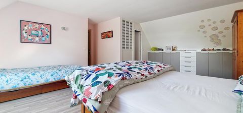 photo no. 17