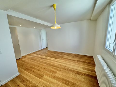 photo no. 15