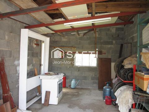 photo no. 12