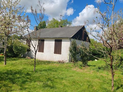photo no. 9