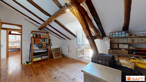 photo no. 8