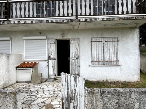 photo no. 11