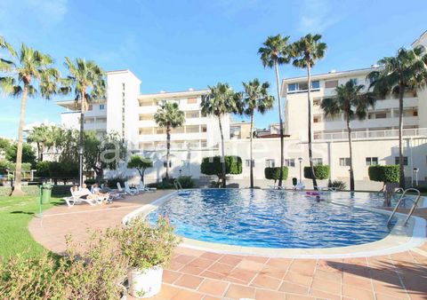 Verkoop van een ruim appartement op de begane grond van 97 m² en een terras van 70 m2, gelegen in een van de meest gewilde gebieden van Albir, op slechts 5 minuten lopen van het strand en omgeven door diensten en voorzieningen zoals supermarkten, res...