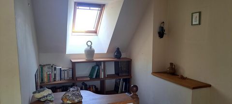 photo no. 5