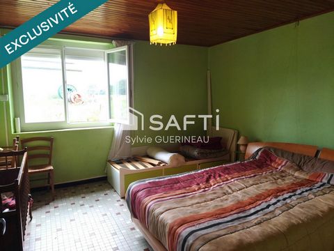 photo no. 15