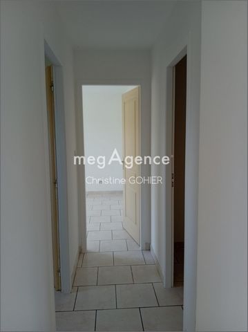 photo no. 7