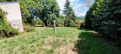 photo no. 11