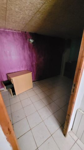 photo no. 4