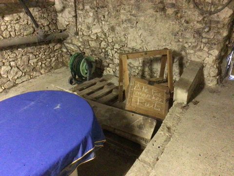 photo no. 17
