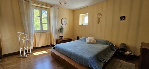photo no. 12