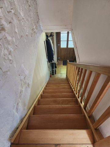 photo no. 13