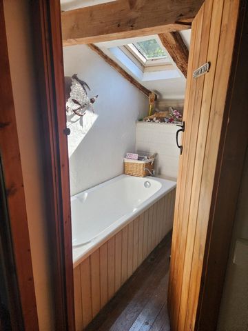 photo no. 15