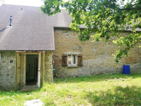 photo no. 3