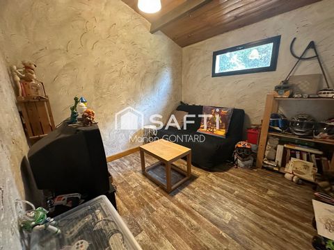 photo no. 16