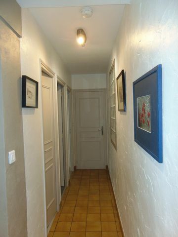 photo no. 5