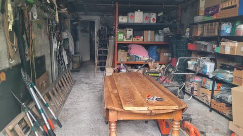 photo no. 17