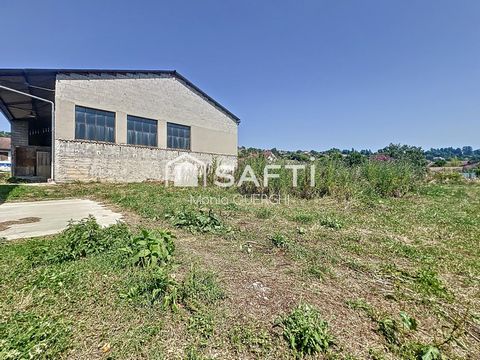 photo no. 2